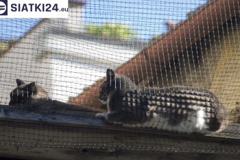 Siatki Jelenia Góra - Siatka na balkony dla kota i zabezpieczenie dzieci dla terenów Jeleniej Góry
